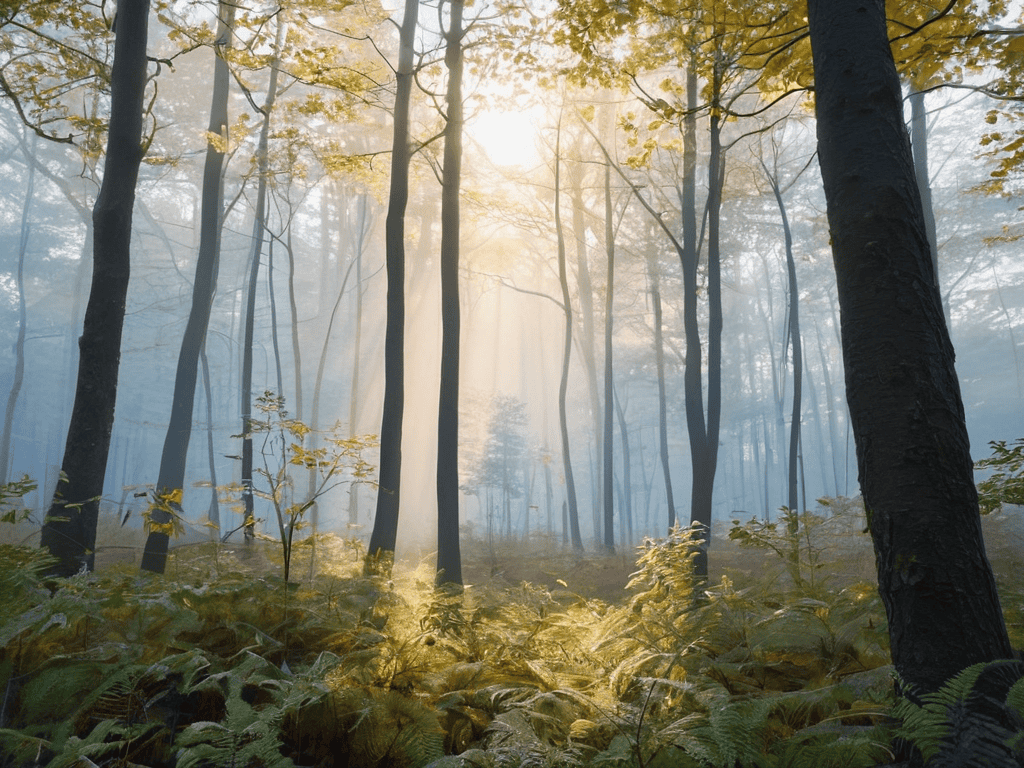 Designing the Air: the Role of Atmospheric Intelligence in Tech 4 Atmospheric Intelligence Tips